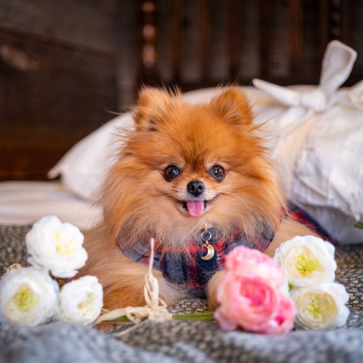 811af344 3c7b 401b bf5f d3b928808052 1576282808530