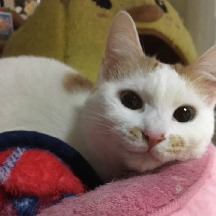 811b0581 664c 44b1 a23d 0c9ece946789 1519643463093