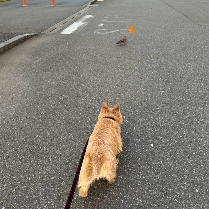 811b16d7 0d3a 48a3 81ed 1936098b4ab7 1762374955150