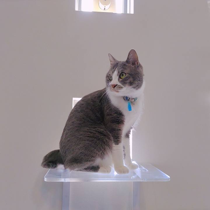 811b442d 5440 4f00 a4a4 d1d50d4487df 1681185762681