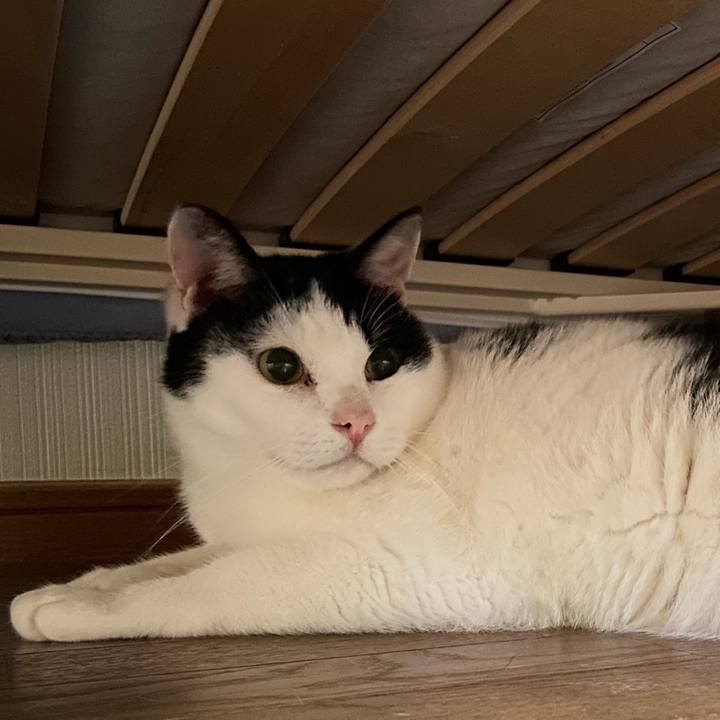 811b4a50 566c 4dc4 b381 5f100034fa83 1595461231948