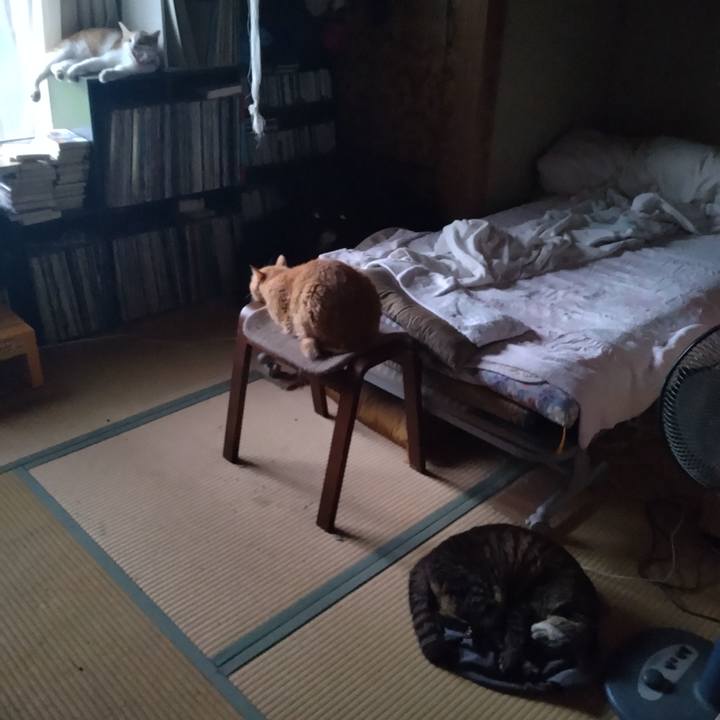 811b6121 47e3 48b2 8f18 27397623c795 1750716147372