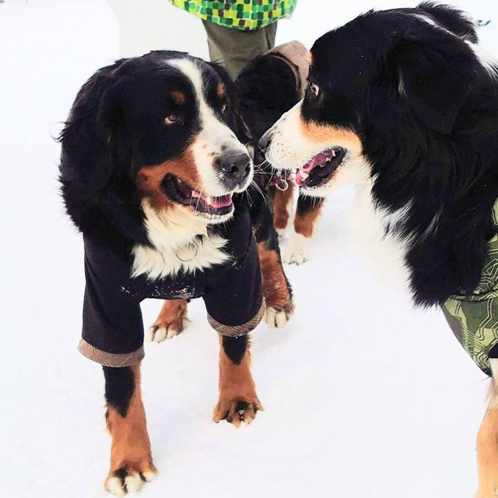 811b7c37 7715 43c6 8a4b 7b24951422dd 1773486413440