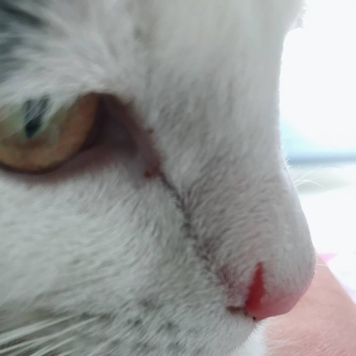 811b9a10 484d 402f a255 5d35bee51e29 1517967193659