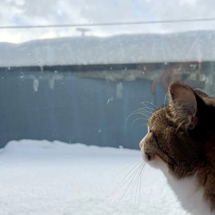 811b9a45 44ad 4e57 92b7 6d826cfec528 1767396029834