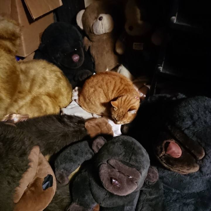 811ba73b c5c3 40e6 ac1d 8b5093f2be61 1608119547759