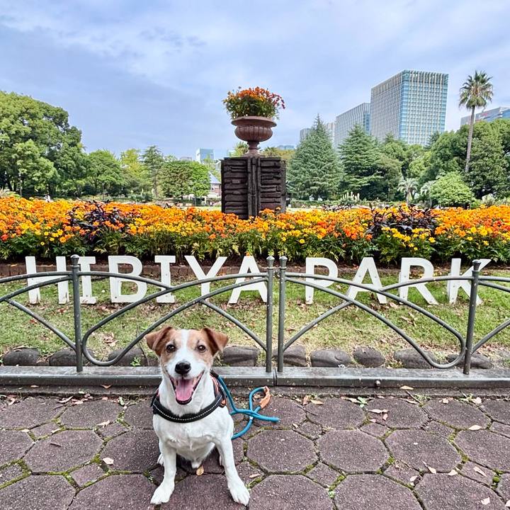 811bb273 4527 479c 9bf7 a27506a58ef1 1760351115169