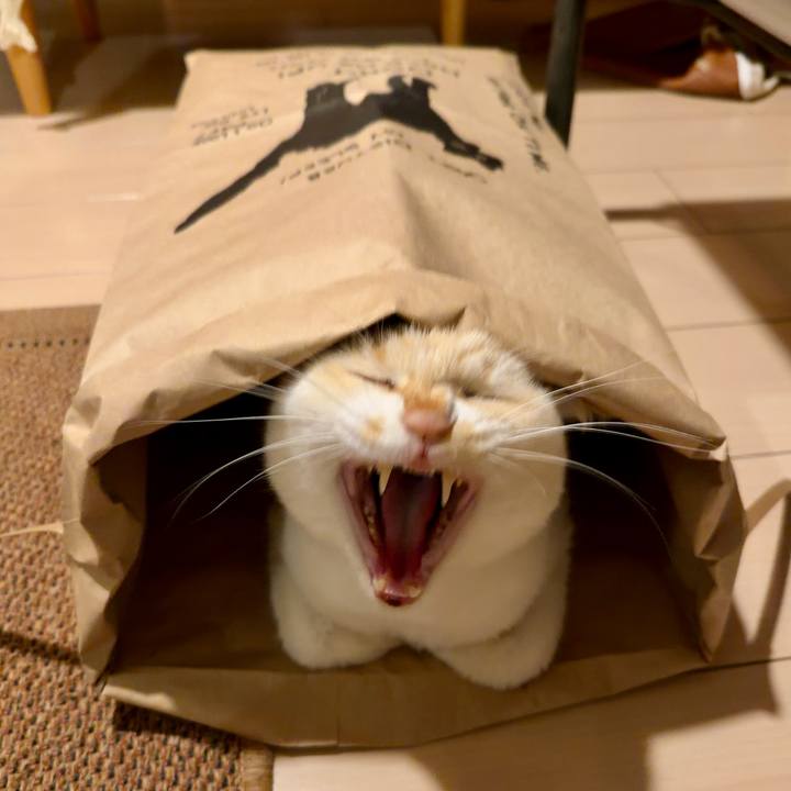 811bb6d3 d54c 4481 8b93 5f2464ab4ef7 1767177275771