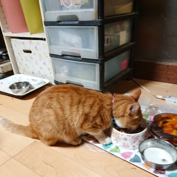 811bc91d 443e 484e 801a 419e8af49a79 1598558379727