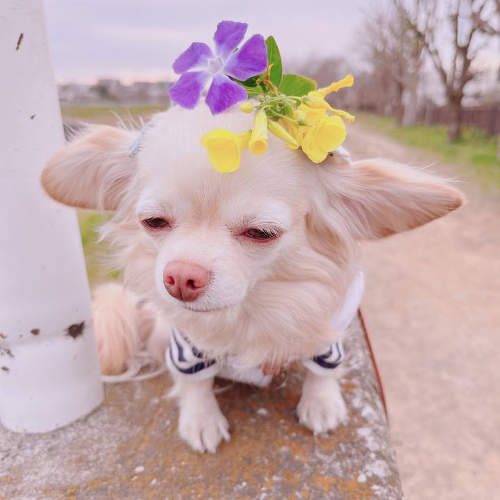 811bd1a0 f06a 4e35 a5ae 39f0f105680c 1677664258733