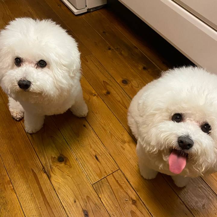 811bdc78 92de 4ea3 aaf6 f18cfaec14fa 1613385538659