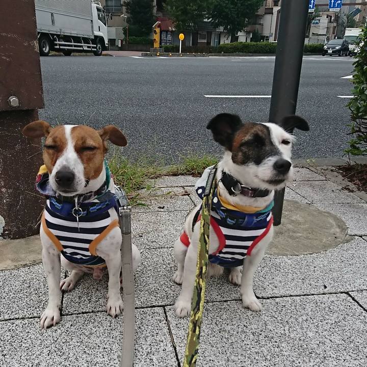 811bf089 5483 4722 bdf0 7756f370f22c 1537826298948