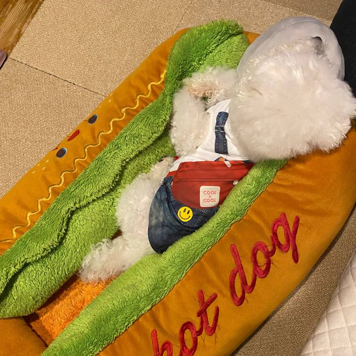 811bfe6f a340 4716 a670 1b53156f34ff 1747915850445