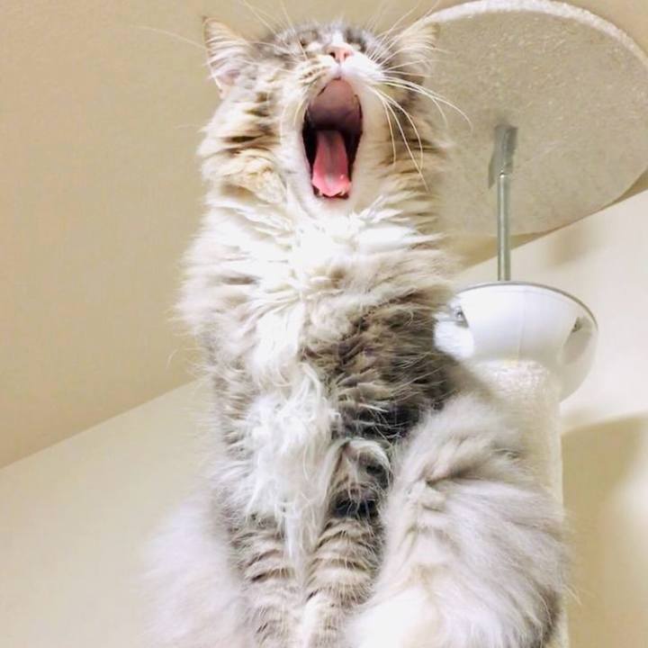 811c3e0b e937 4518 ac29 3dcd7a7a6a56 1752680160443