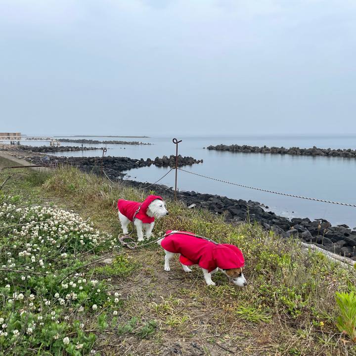 811c96a5 6af8 45ac b5bd 37e528b1c4a2 1684450495615