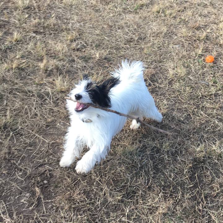 811ca6da b1bd 46ad a9fc e227b14fcff9 1510869811613