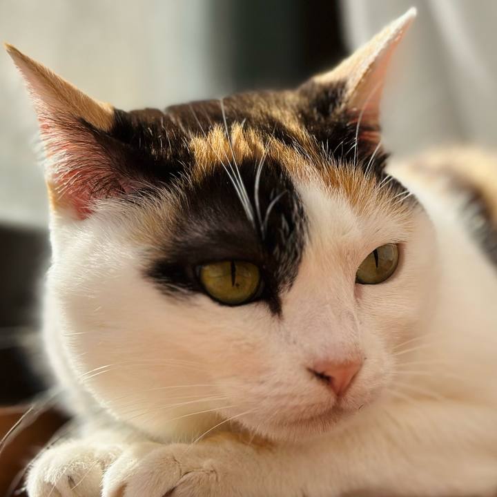 811cb3dd 993e 4181 a53a 031ab84e450e 1677290581475