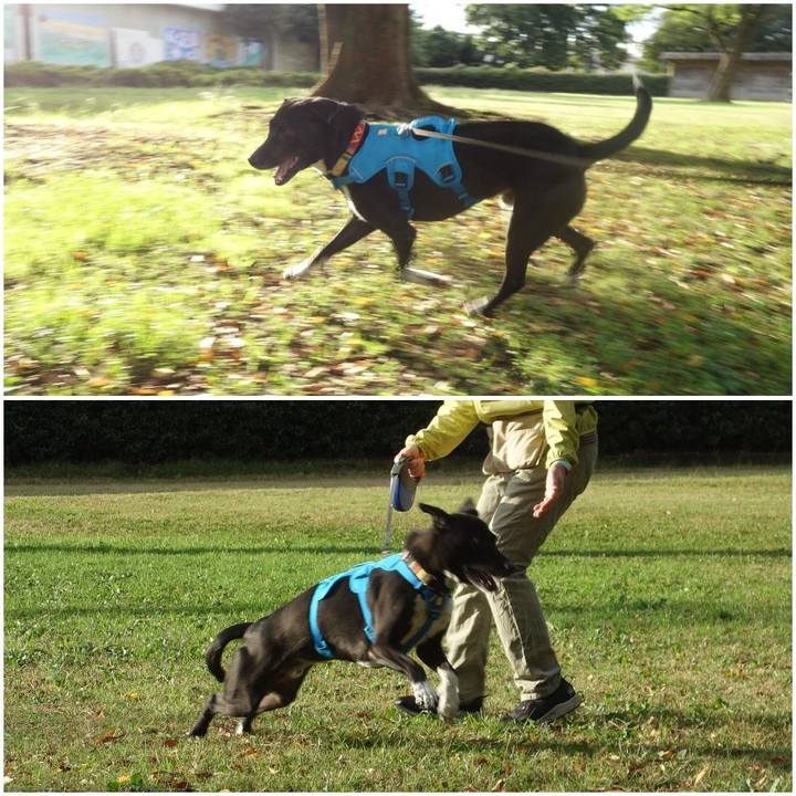 811ccb42 6f0d 4f8d 883f cd88b7ab2a5e 1603500161813