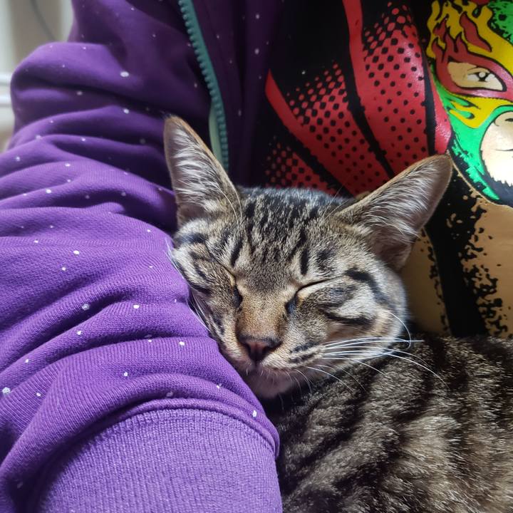 811cd364 aa93 4bdc b49b b86f18172c5d 1545549782174