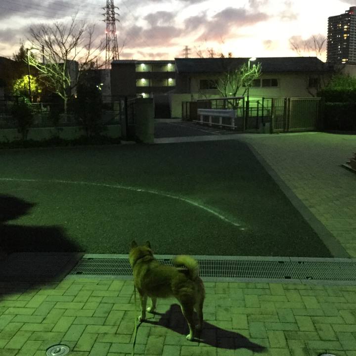 811d22e1 431b 4f30 86b5 496959a0d157 1576400517869