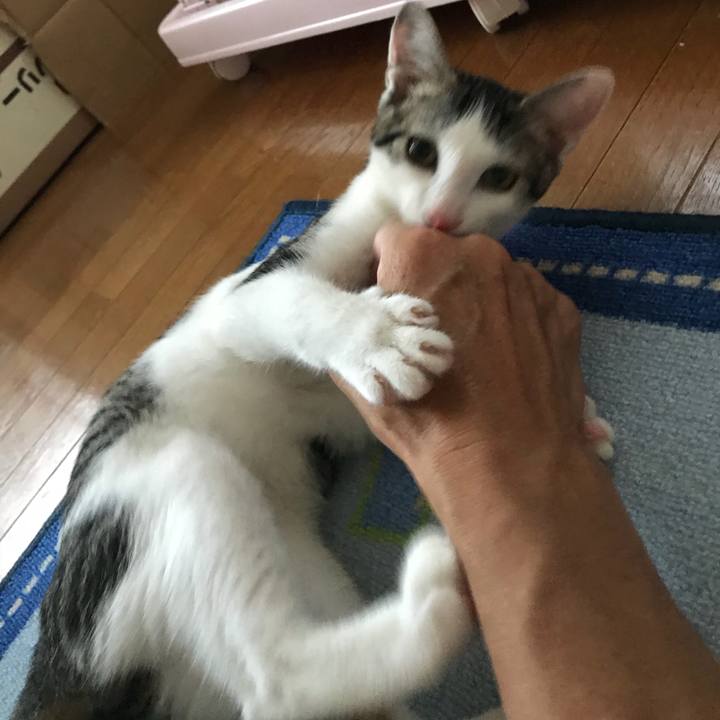 811d2bad 3fd9 4d8f b2d5 5dfe193db5b9 1533600754273