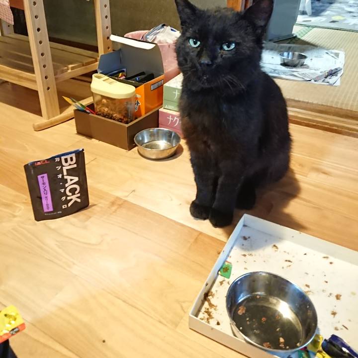 811d5831 13fb 4f36 a1c7 097d6aaea4a9 1623320278201