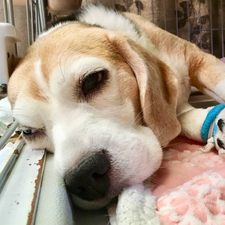 811d5dd1 b2a9 414d aefc 7f9fb62a08a2 1565418543050