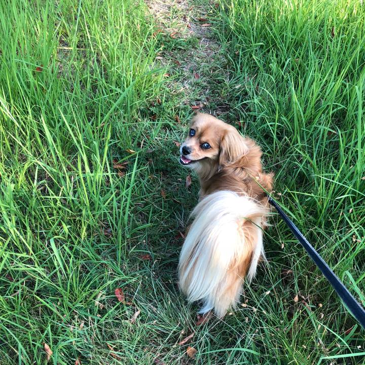 811d6e4f 5b8c 4091 9bba cb227cfccf5c 1533677591286