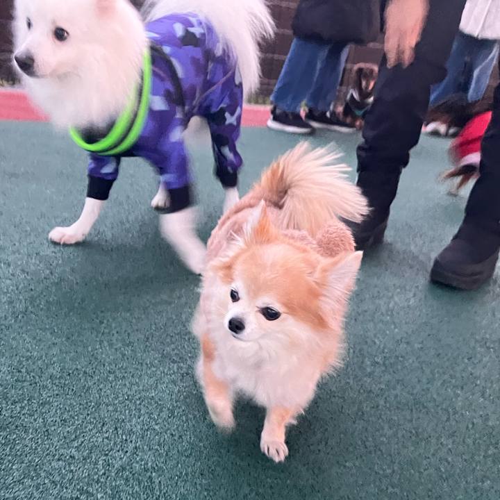 811d758b 0318 48b4 93a7 aa5f4449260b 1769483149769