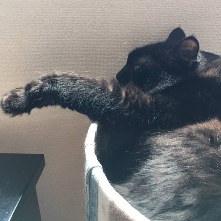 811da371 3289 4dae 8b15 56e19492df2b 1531274768779