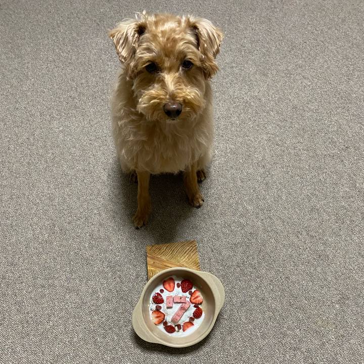 811da48c 75a0 443f 9872 e7c216113607 1622976055707