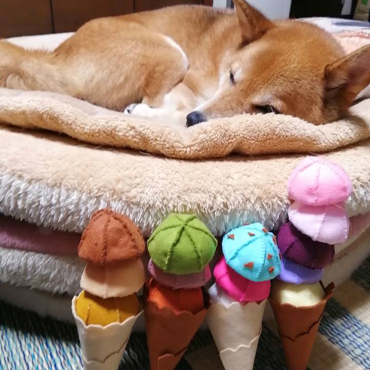 811db86e dd70 4828 b5d1 3a88485d9c6b 1595946027214