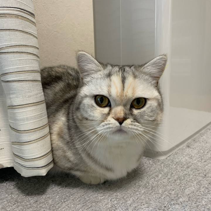 811dea48 375d 420e 8221 594246b07d4f 1705300219664