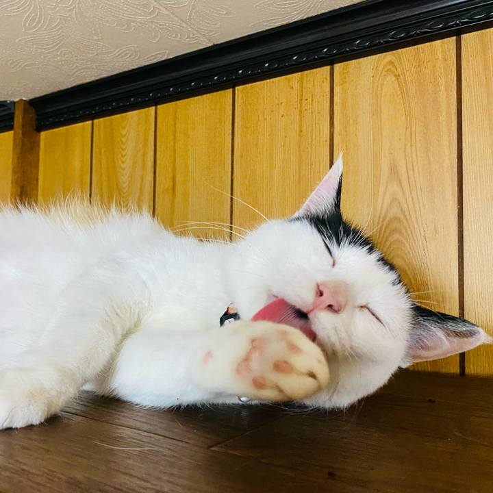 811df0d0 99b0 437d af6c 81d5c05cf7dd 1657632146405