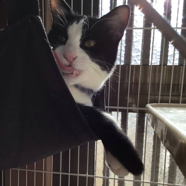 811df61f de8d 4ca9 958e 313cd227a012 1641623882854