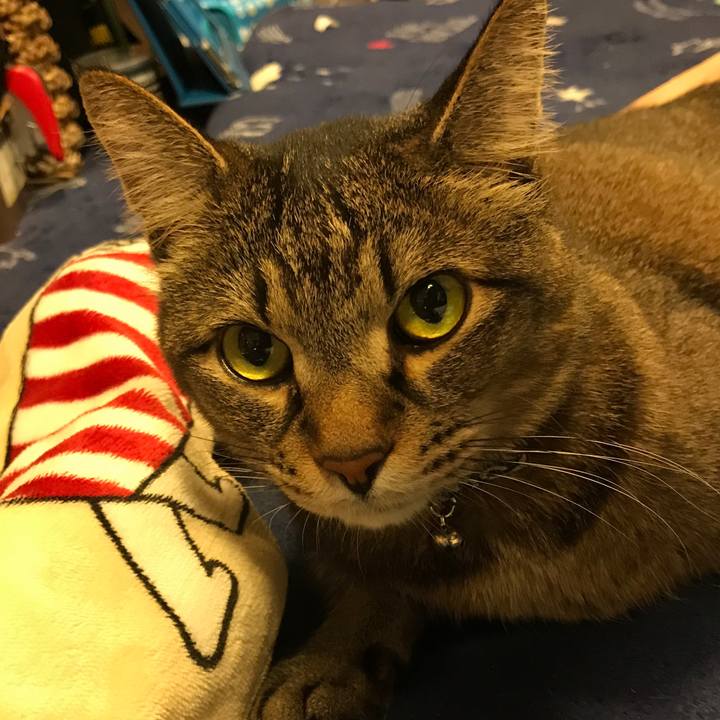 811e0683 6e4b 42f3 a10a cf556e87b105 1525595532716