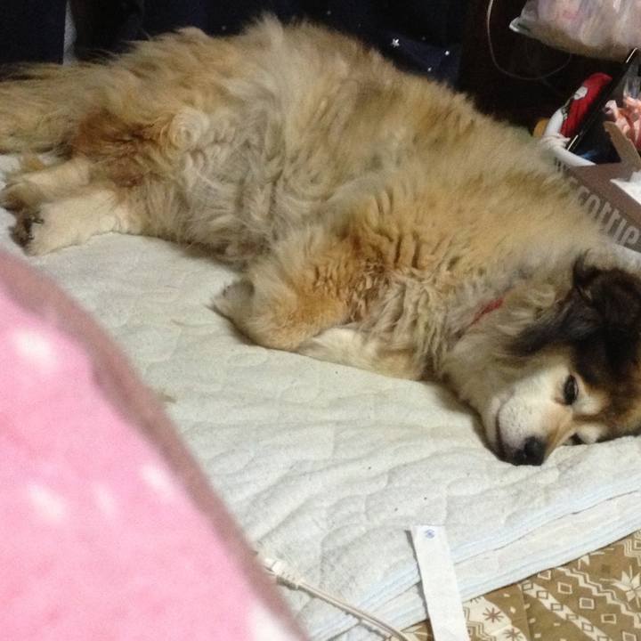 811e144f 87cb 4b5a ae35 db358faa270c 1606447543508