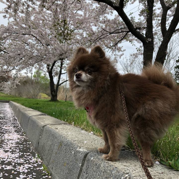 811e3e58 d25d 4eb1 9f6e 66dd7708a4b2 1620198062474