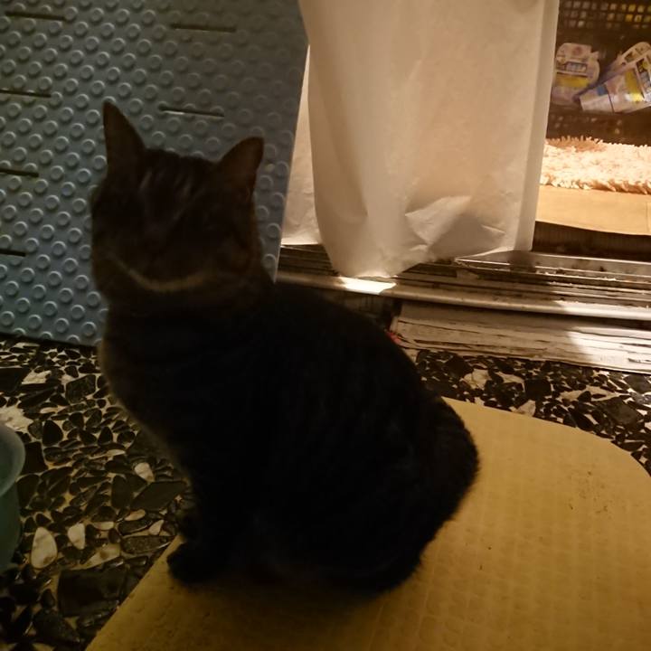 811e6689 bbc0 4b5e 8019 edcd9348d610 1640941684160