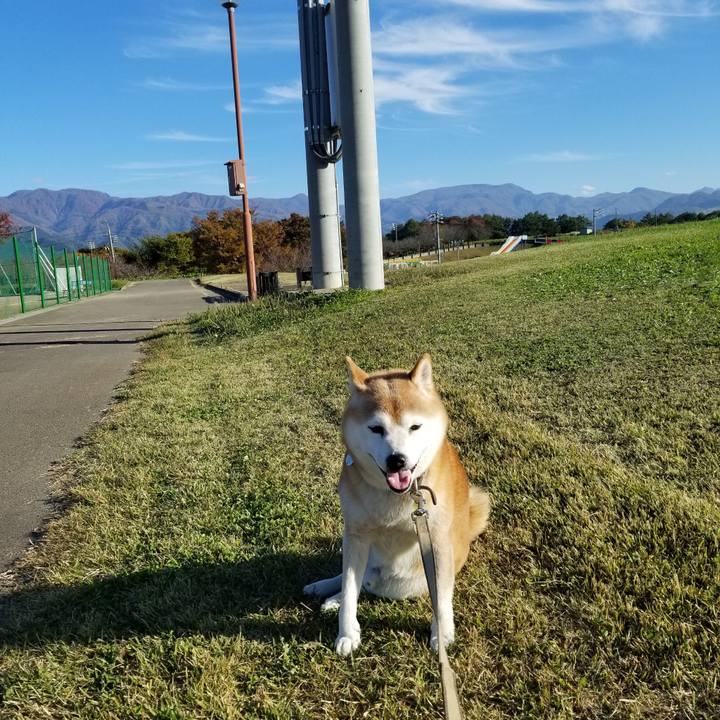 811e6d92 c850 4fac ba1c 3ffa9d5c9ffc 1667195474010