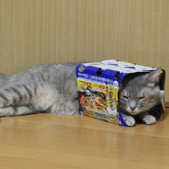 811e7b3b 4c5f 4132 8481 b292850e1aaf 1513684568702