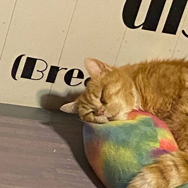 811e98cf 8587 44fe a6fe 2b7b01a90c02 1681651390478