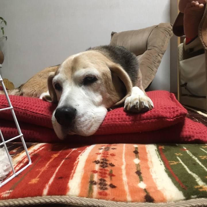 811eaea7 fa8d 4c5d b07c 56372944658f 1522157292110