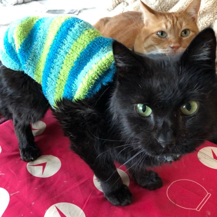 811ed5b8 27fa 418b 8511 9640b585d65e 1647070800849