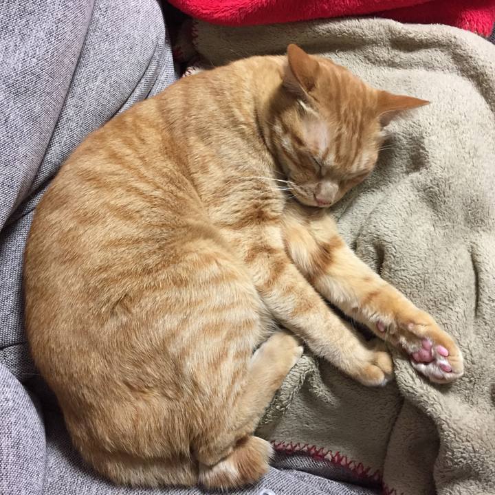 811f377c b1a4 4ce4 ac33 7972d6be5b59 1509289913322