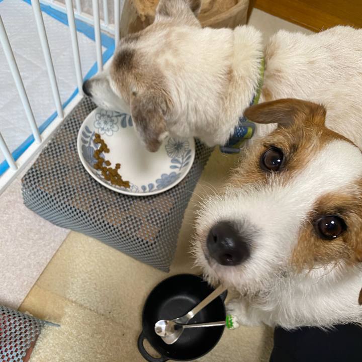 811f8066 e405 4b81 9d2f af953a50d4ab 1711579955053