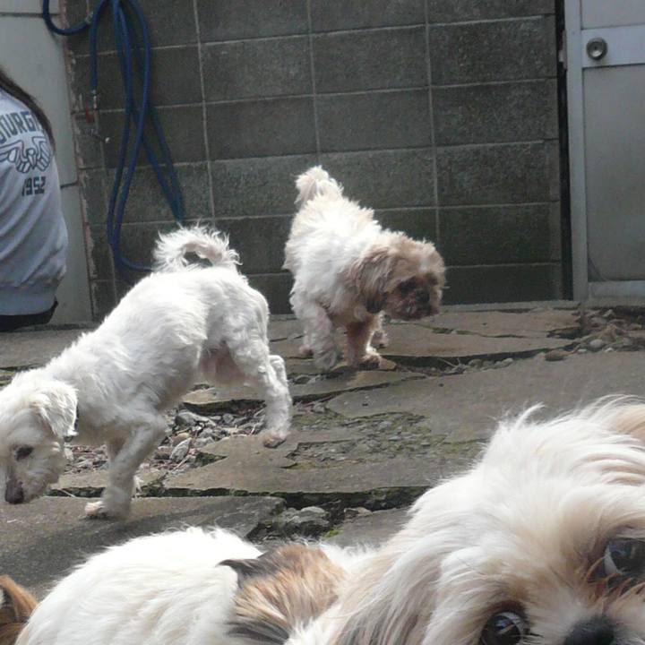 811f8aa7 4596 4004 90cd 8c3aae69cd9c 1548571665518