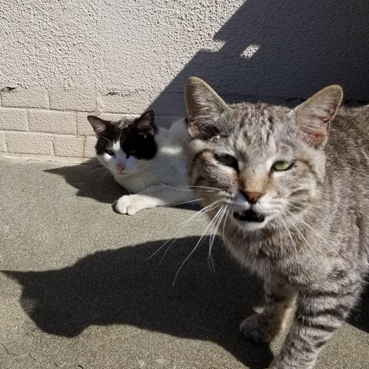 811f8d02 e239 4f4a 94d3 9728d5b6bfaf 1652314335742