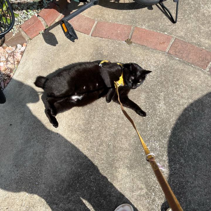 811fbc8c 29c5 48c3 a1d9 c0c3b0125ee4 1710653490594