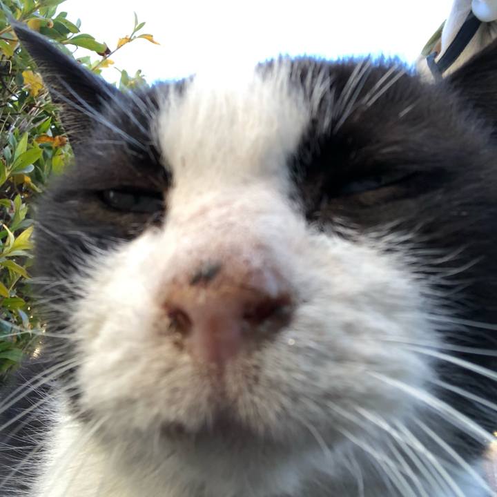 811ff253 aa88 4965 8e9c 99441b1ea6d2 1547196003221